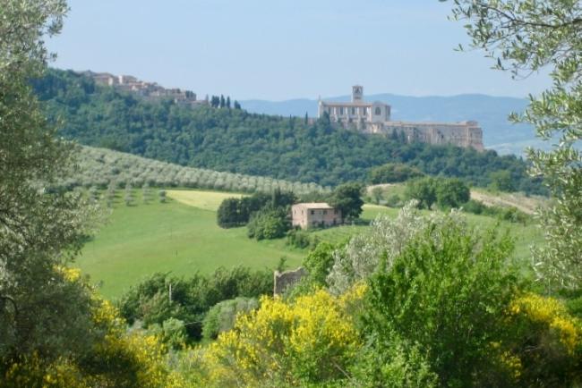 basiliek Sint-Franciscus van Assisi