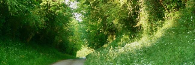 Tochtgenoten - onder